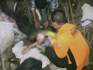 Anak Kandung 'Cangkul' Ibunya Sampai Tewas di Tanjungmorawa, Begini Motif Pembunuhan Nek Parti 