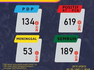 Terus Melonjak, Penderita Positif Covid-19 PCR di Sumut Sudah 619 Orang