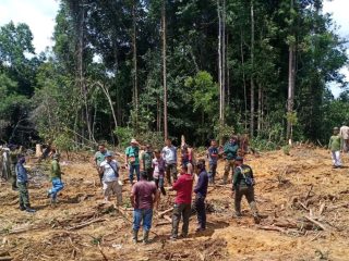 Timgab DLHK dan Polda Aceh Amankan Perambah dan Alat Berat di Hutan Singkil