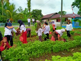 Camat dan PKK Kecamatan Badiri Bersama Masyarakat Lopian Gelar Panen Lanjutan