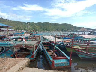 Pukat Trawl Marak Beroperasi, Nelayan Tradisional di Sibolga Terpaksa Beralih Profesi