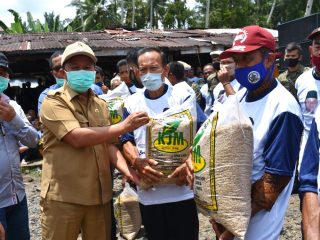 Bupati Tapteng Salurkan Bantuan Benih Padi ke 35 Poktan