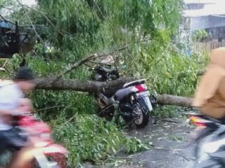 Kota Medan Dilanda Hujan Badai, 2 Orang Kritis Tertimpa Pohon