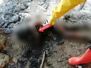 Sadis! Diduga Setelah Dibunuh, Jasad Ngasil Tarigan Dibakar di Dalam Gubuknya