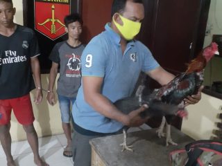 2 Maling Ayam Dijebloskan ke Sel Polsek Tanjungmorawa