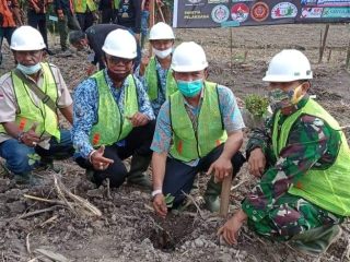 Gandeng Elemen Masyarakat, Amphibi Tanam 10.000 Pohon Eucalyptus dan Produktif di Deliserdang