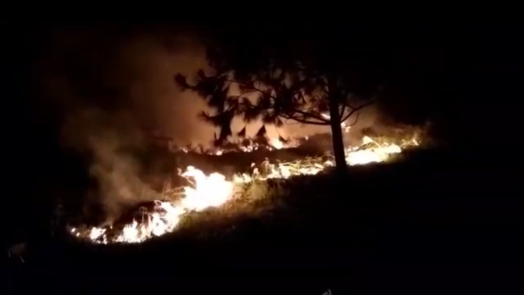 Diduga Dampak Pembukaan Lahan, Sekitar 20 Ha Hutan di Lereng Bukit Danau Toba Terbakar