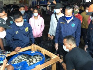 Dikendalikan Napi, Penyelundupan 450 Kg Ganja dalam Paralon Digagalkan BNN di Bogor