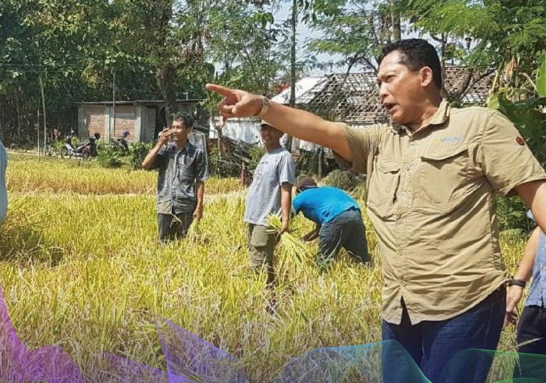 Polemik Soal Impor Beras, Kala Buwas Menolak dan Mendag Tetap Ngotot