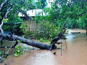 Banjir dan Longsor di Flores Timur, PLN Pastikan Segera Pulihkan Aliran Listrik