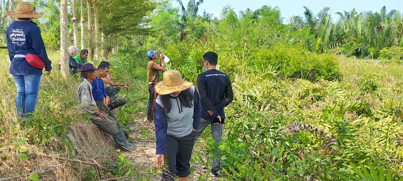 Sekelompok Orang Diduga Suruhan Toke Tambak, Rusak Hutan Mangrove di Langkat