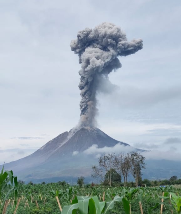 Sinabung Kembali Erupsi, Ketinggian Letusan Kolom Abu Mencapai 2.800 Meter