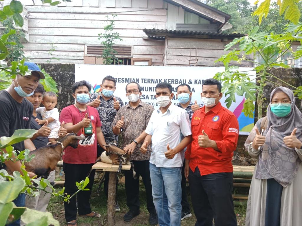 PLN UPK Labuhan Angin Salurkan CSR untuk Modal Usaha Peternakan Komunitas Masipeka