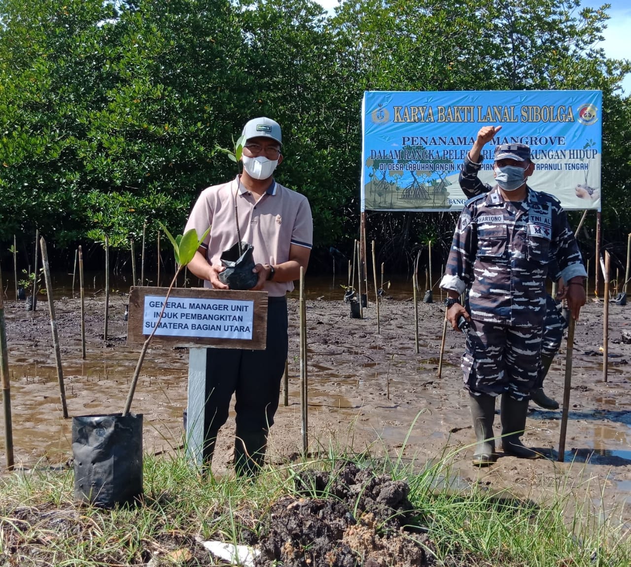 Gandeng Lanal Sibolga, PLN UPK Labuhan Angin Tanam 7.500 Bibit Mangrove