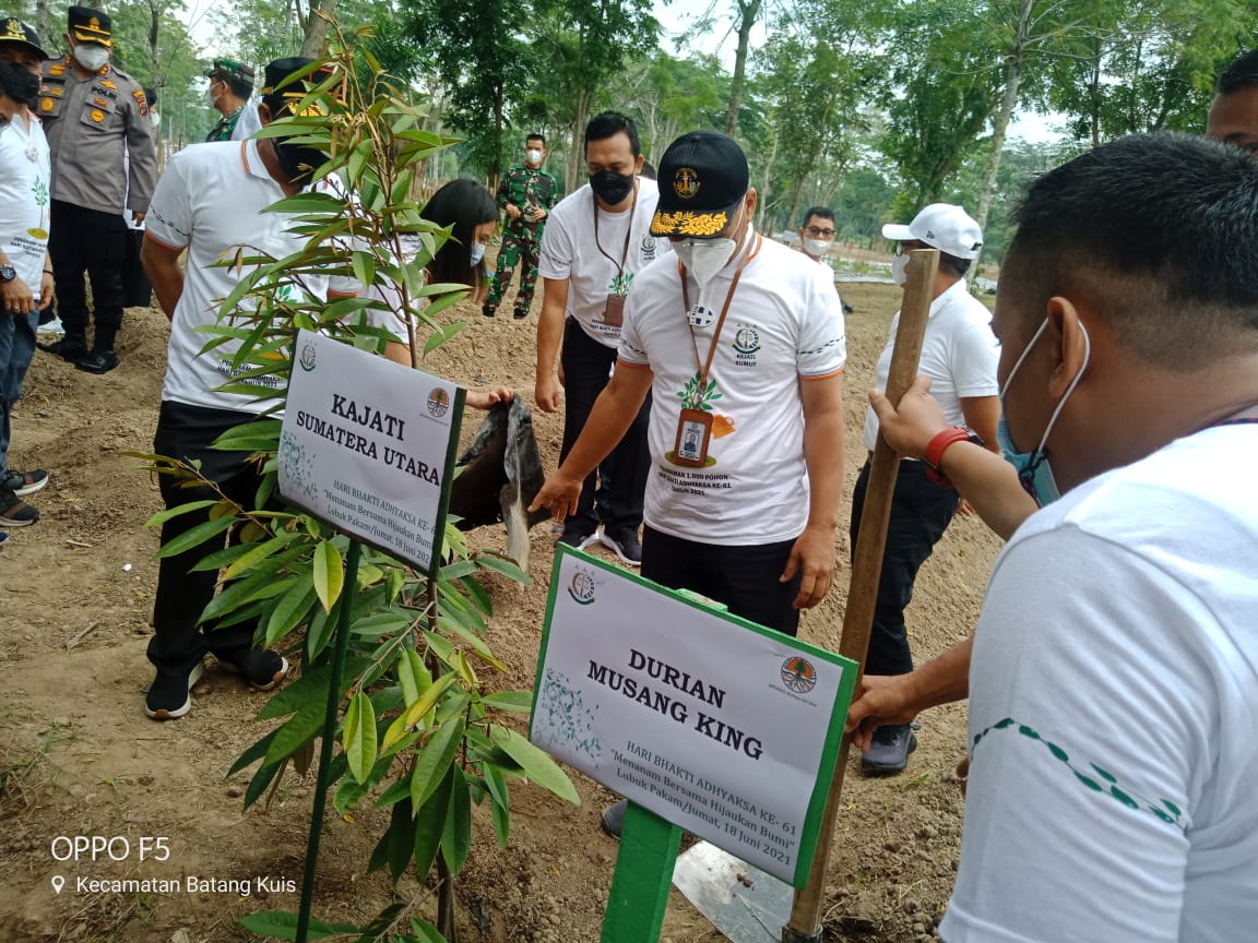 Meriahkan HBA ke 61 Tahun 2021, Kejatisu Gelar Aksi Tanam 1.000 Pohon   