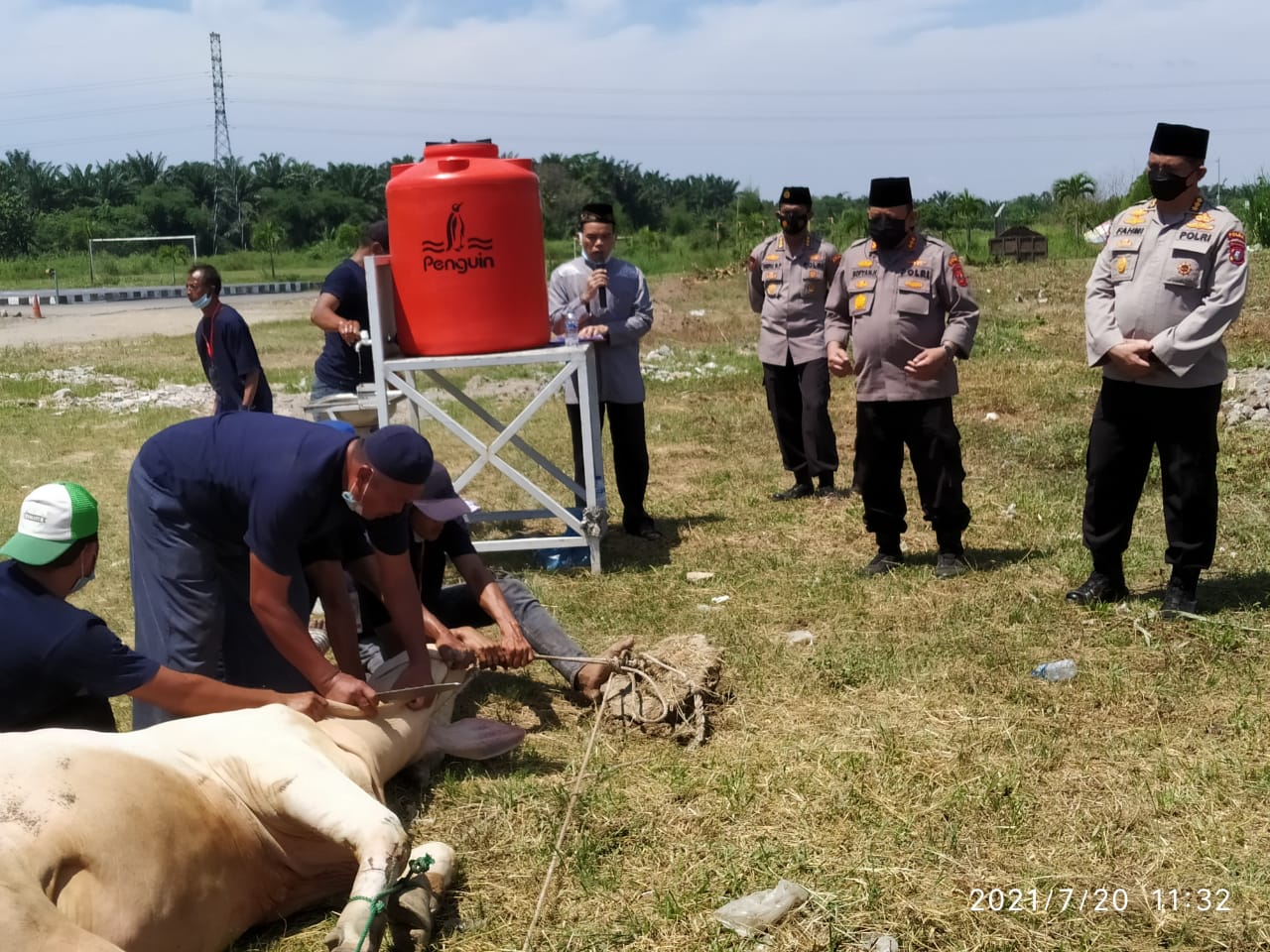 Laksanakan Kurban, Polda Sumatera Utara Sembelih dan Sumbangkan 43 Ekor Sapi