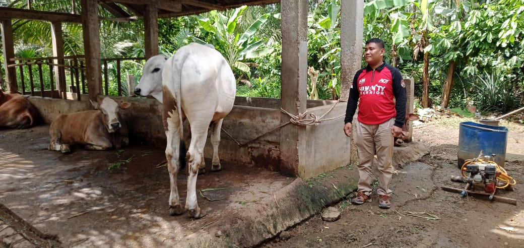 PPKM Jelang Idul Adha, Masyarakat Pilih Qurban Online