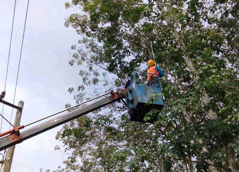 Jaga Keandalan Listrik, PLN UP3 Lubuk Pakam Terus Lakukan Pemeliharaan JTM