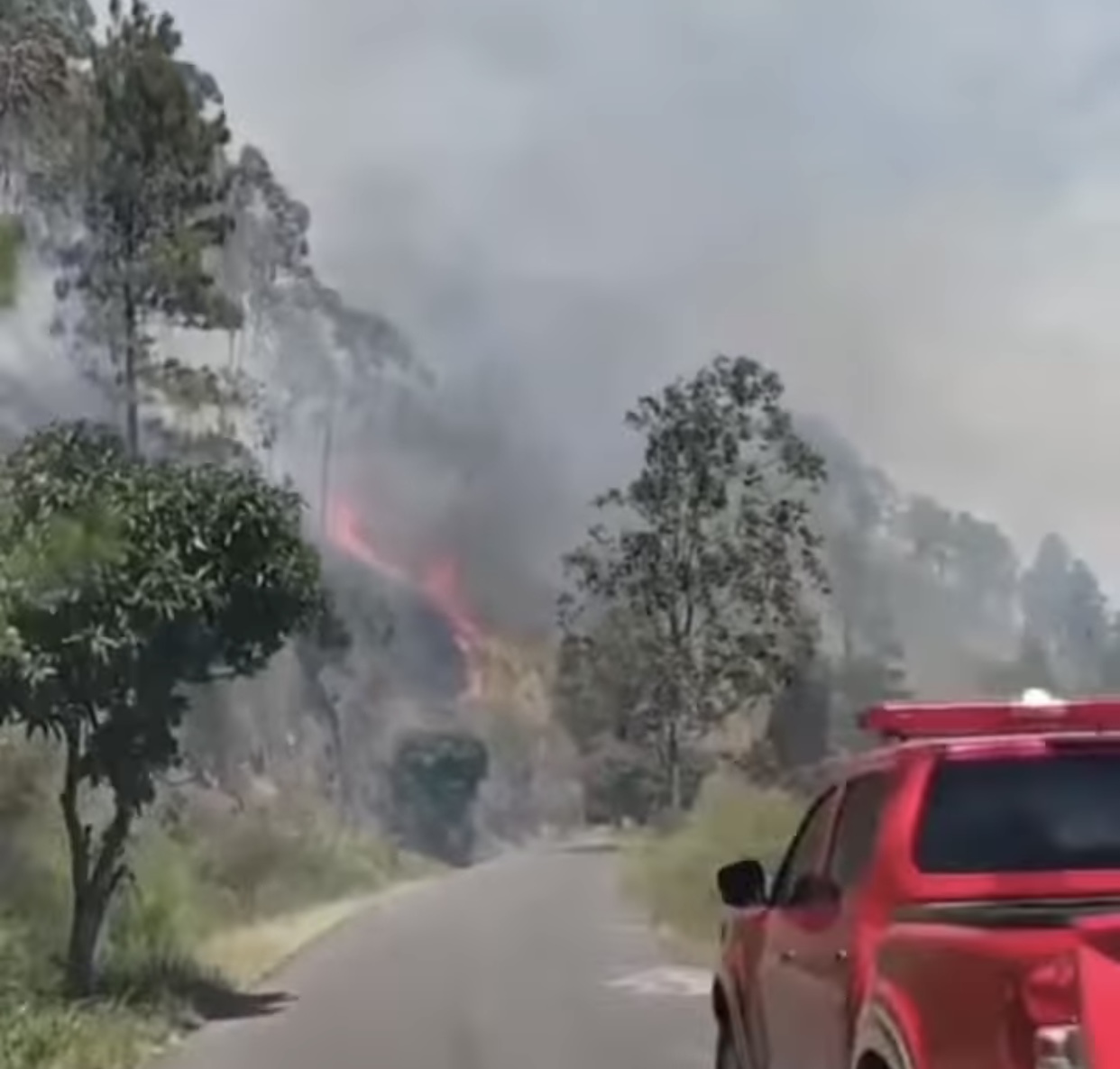 Kebakaran Hutan di Sekitar Danau Toba Makin Meluas