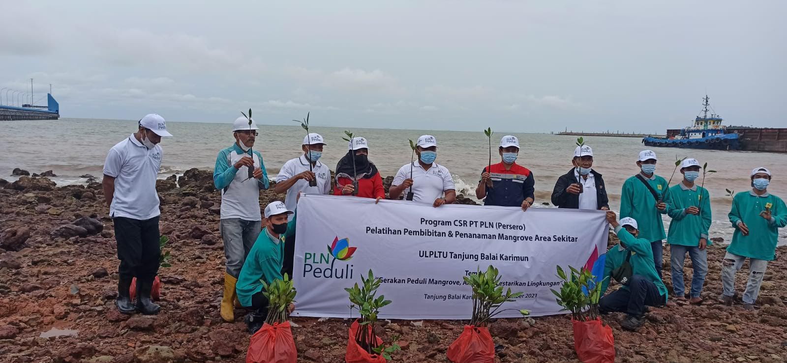 Gelar Gerakan Penghijauan, PLN Unit PLTU TBK Lakukan Penanaman 5.000 Pohon Mangrove