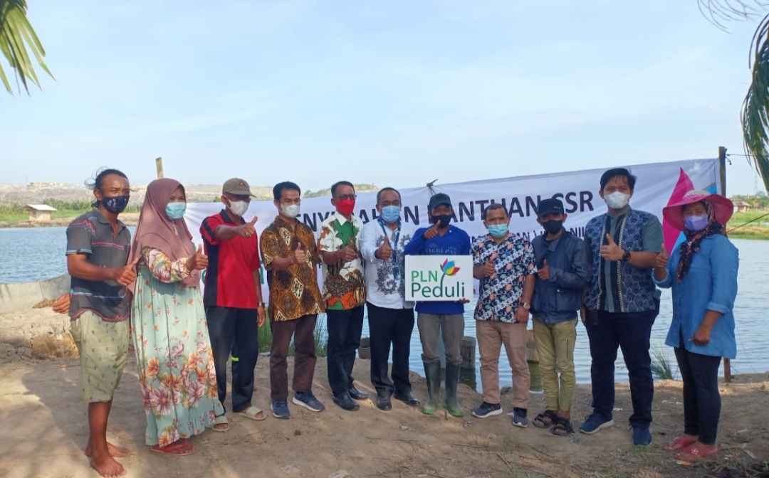 Melalui Program TJSL, PLN UIKSBU Dukung Pembudidayaan Ikan Nila di Medan Marelan