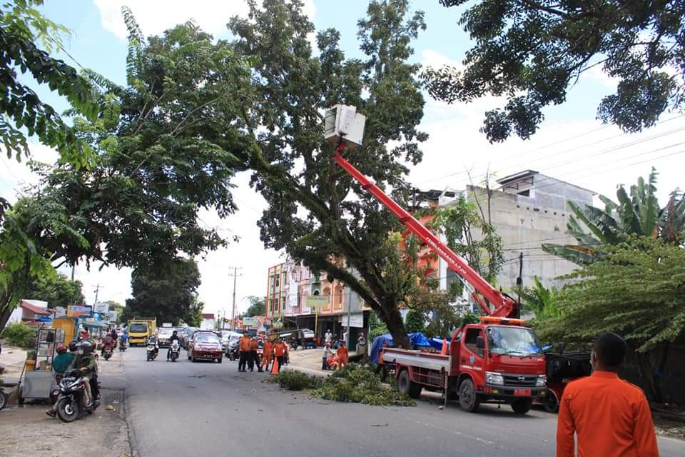 Bahayakan Pengguna Jalan, BPBD dan Dishub Labuhanbatu Rampal Ranting Pohon