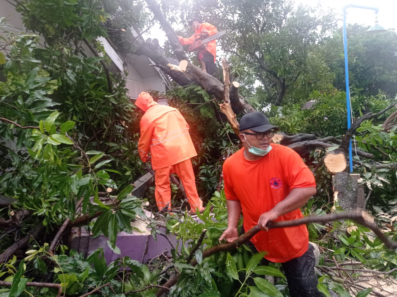 Puting Beliung Terjang Empat Kecamatan di Madiun, 7 Orang Luka-luka dan 515 Rumah Rusak