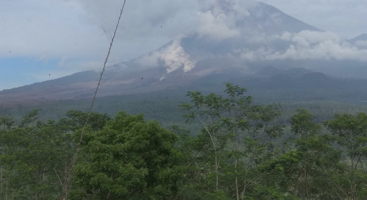 Lagi, Gunung Semeru Luncurkan Awan Panas Guguran Hingga 5.000 Meter