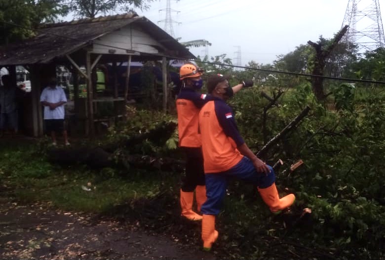 Diterjang Angin Kencang, 31 Rumah Warga di Kabupaten Batang Rusak