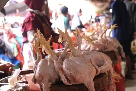 Merangkak Naik, Harga Daging Ayam di Medan Sentuh Rp42.000 per Kg