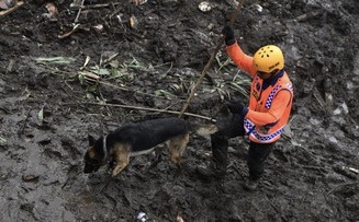 Banjir Bandang Landa 6 Desa di Tuban, 1 Orang Meninggal Dunia