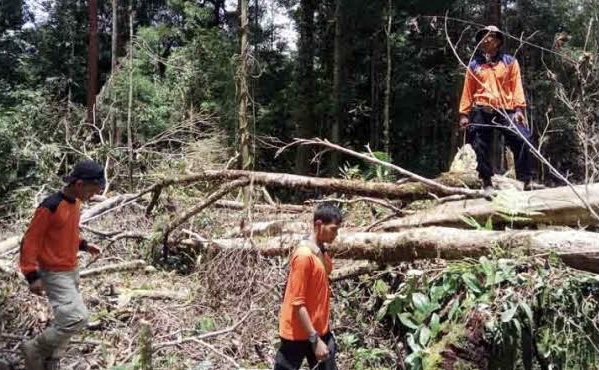 Tim SAR Masih Cari 4 Orang Hilang Pasca Gempa M 6,1 Pasaman