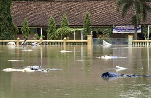 Puluhan Desa di Purworejo Dilanda Banjir dan Longsor, 6.085 Warga Mengungsi