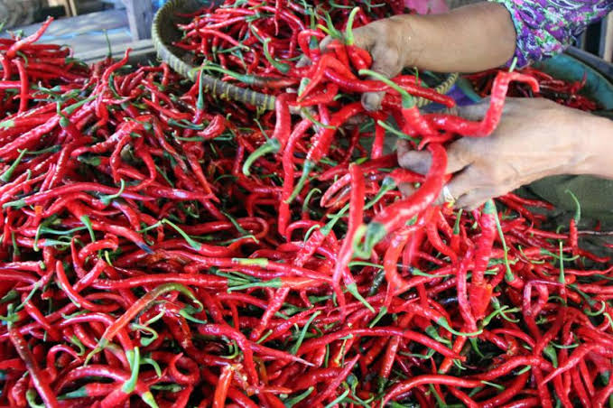 Jelang Ramadan, Harga Cabai di Pasar Tradisional Medan Turun