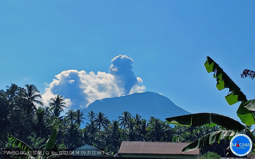 Gunung Ibu di Halmahera Erupsi, Muntahan Kolom Abu Setinggi 800 Meter