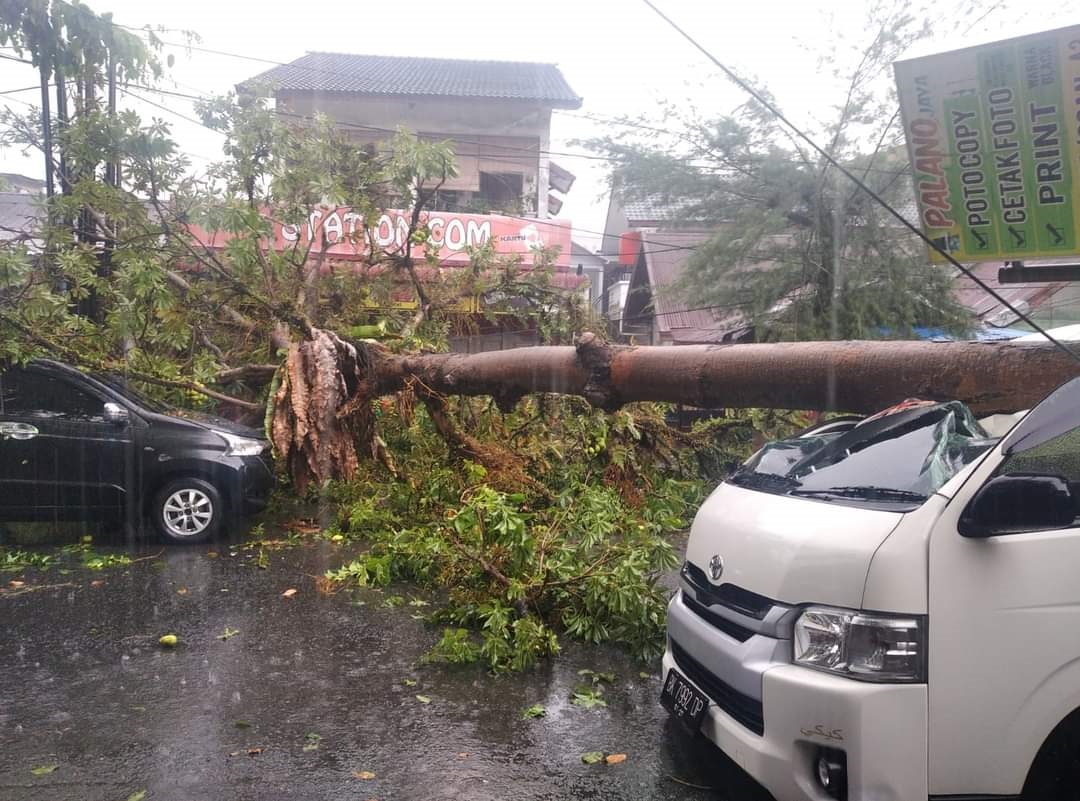 Medan Dilanda Hujan Deras dan Angin Kencang, 2 Mobil Tertimpa Pohon