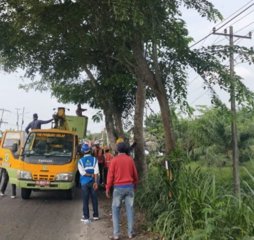 Jaga Keandalan Listrik, PLN UP3 Lubuk Pakam Bersinergi dengan Dinas Perkim Sergai