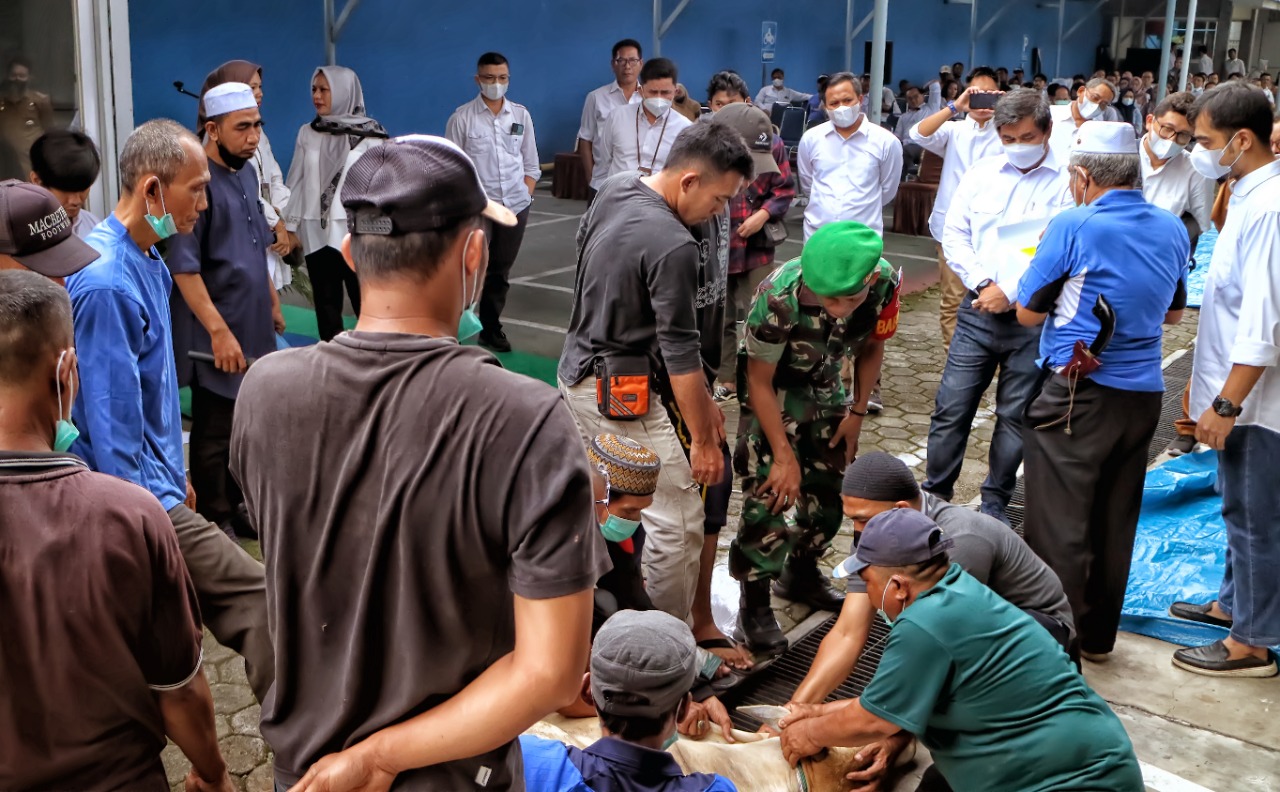 PLN UIP Sumbagut Sembelih Hewan Kurban di Momen Hari Raya Idul Adha 1443 H