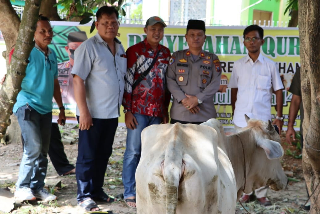 Polres Labuhabatu Serahkan 4 Ekor Sapi Qurban Kepada Tokoh Agama dan Wartawan