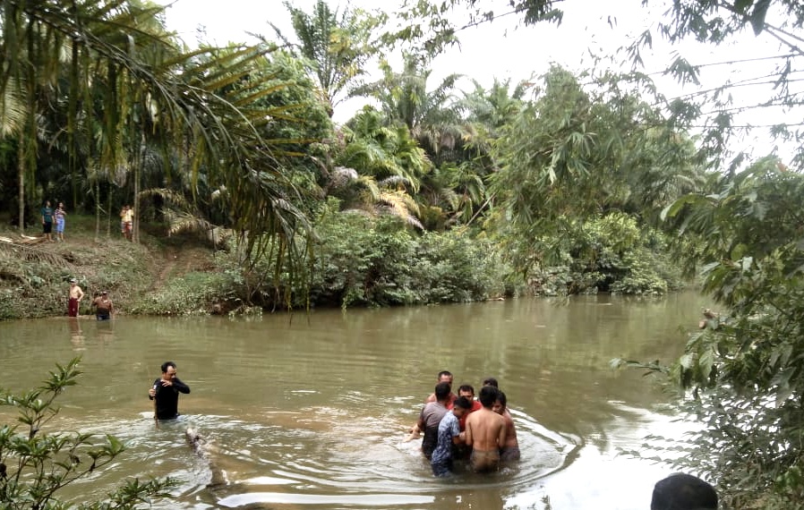 Lagi Cuci Piring di Sungai, Wanita di Madina Tewas Digigit Buaya