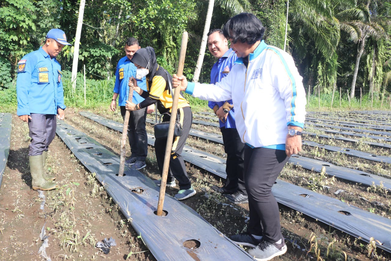 Pegiat Anti Narkoba Tanam Sayur Bersama BNNK Binjai