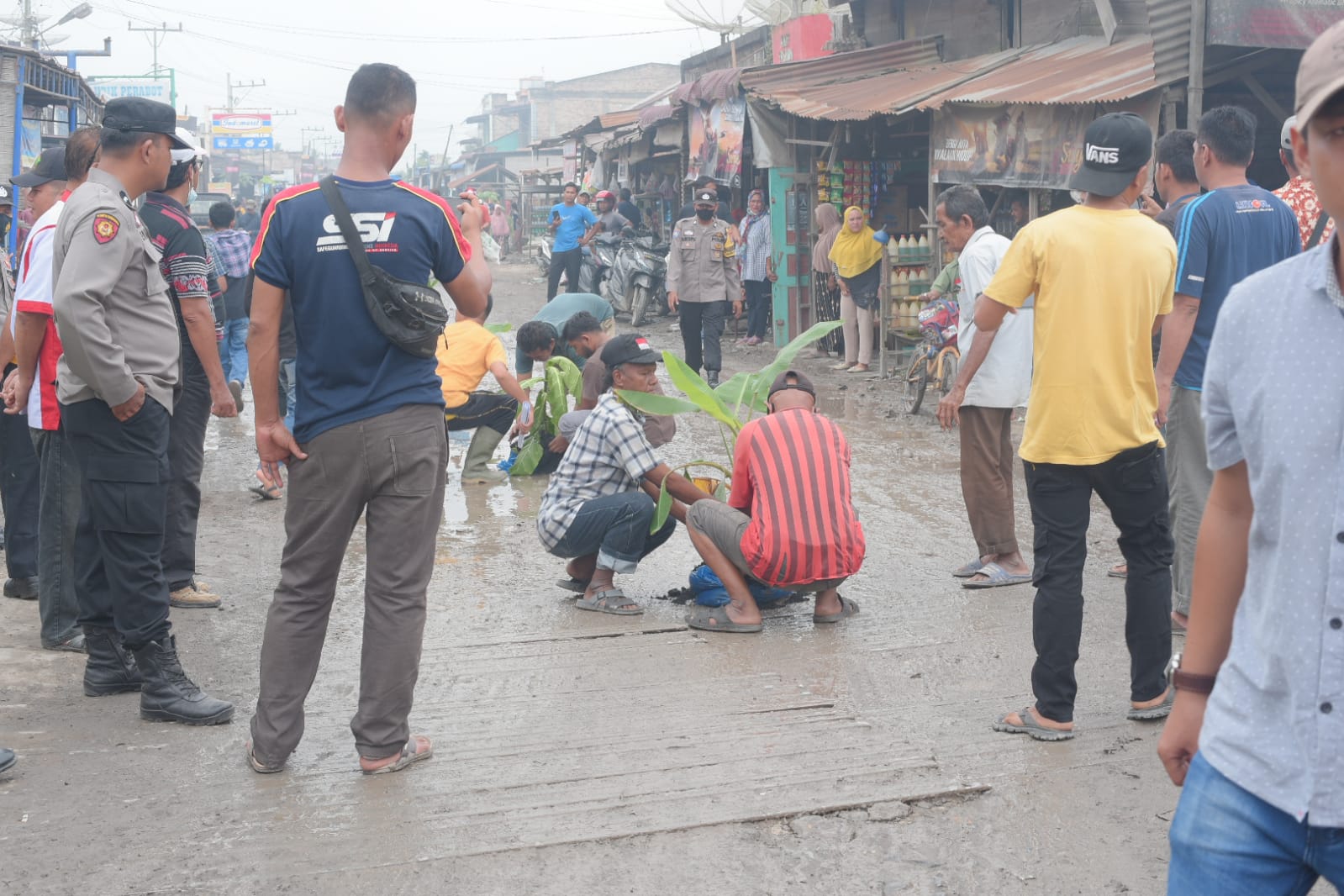 Bentuk Protes, Warga Panai Hulu Gelar Aksi Tanam 1.000 Pohon di Jalan Rusak