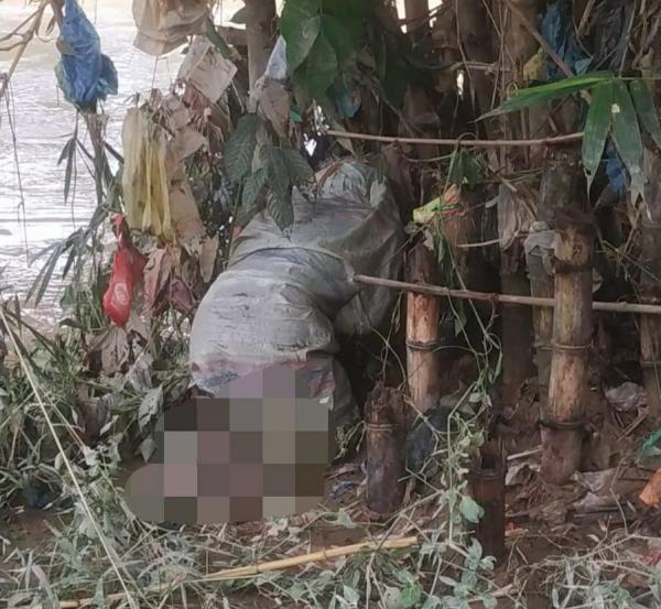 Heboh! Warga Amplas Temukan Mayat Perempuan dalam Karung Tersangkut di Pohon Bambu