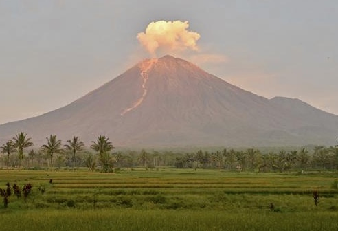 Gunung Semeru Erupsi, Masyarakat dan Wisatawan Dilarang Beraktivitas