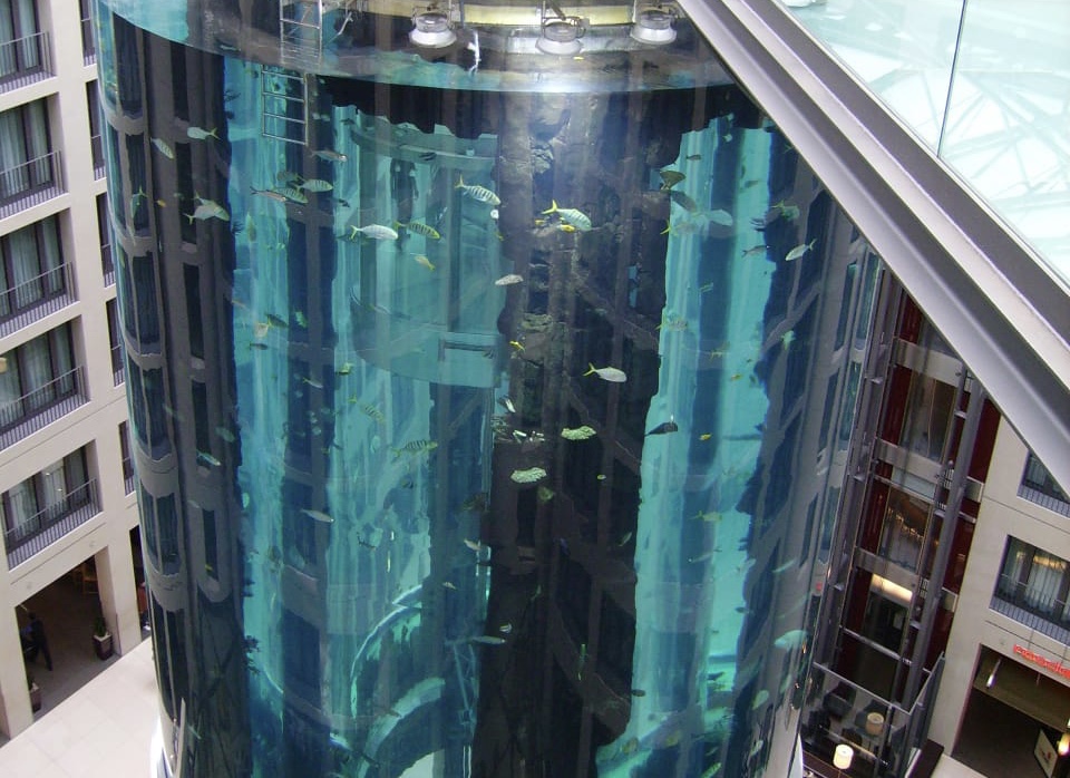 Aquarium Raksasa Di Berlin Pecah, 1 Juta Liter Air Tumpah