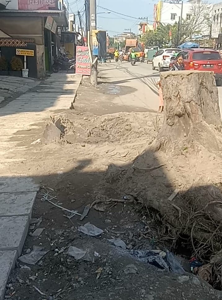 Proyek Drainase di Medan Dipercepat, Banyak Pohon Tepi Jalan Dibabat