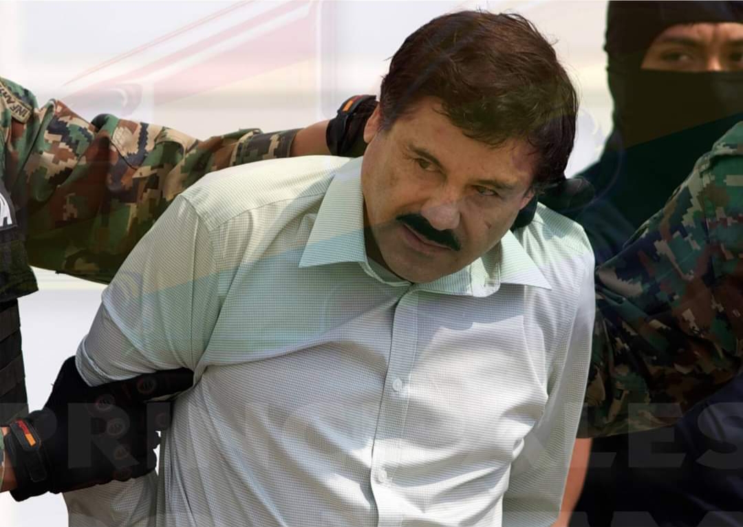 Gembong Narkoba El Chapo Ngamuk Setelah Putranya Ditangkap di Mexico, 29 Orang Tewas