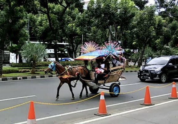 Pemkot Jakarta Pusat Larang Delman Beroperasi di Kawasan Monas