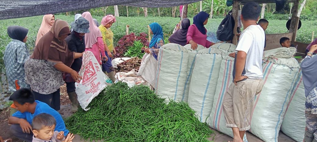 TJSL PLN Terus Berbuat, Ekonomi Masyarakat Meningkat