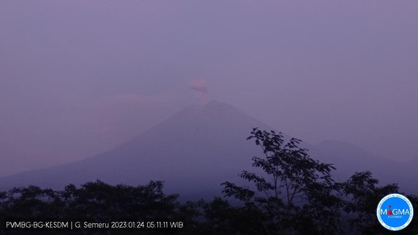 Gunung Semeru Meletus, Kolom Abu Terpantau Setinggi 500 Meter